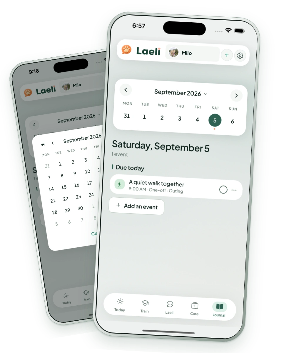 Laeli Journal's month calendar and selected day